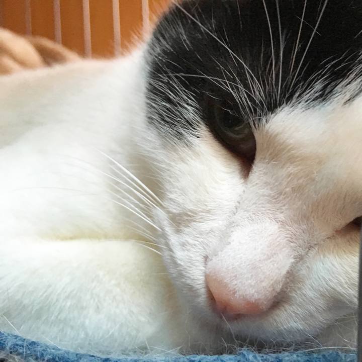 148afc9a b9e8 4bc4 804f 10abd7b62c68