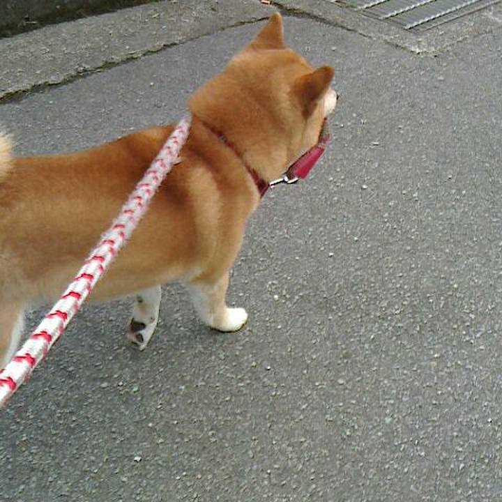 148b3170 9e09 4ecf 8483 9dd92c422161