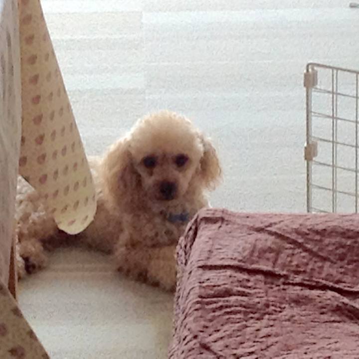 148cab89 a7ac 410a 8b69 cc491057af0a