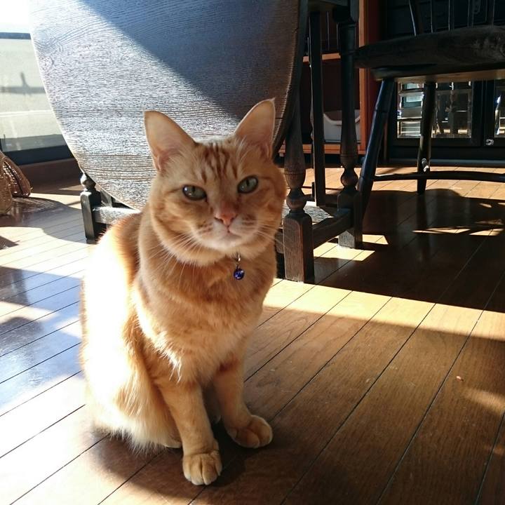 148d6620 a9cd 49fa 82af f018d845bd4d