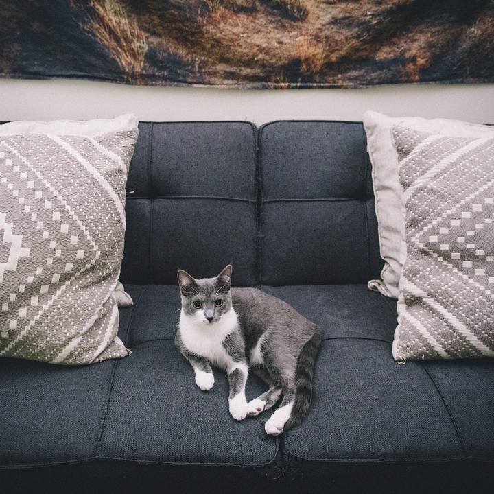 148dc715 b6df 4c66 b669 c0d83e132307