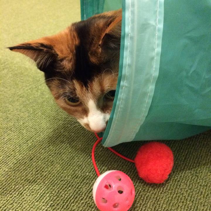 148e599a 689b 4f14 9e35 229fc43936e6