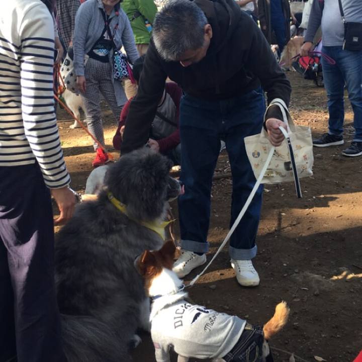 148eb384 a431 408c 8058 c0ead6971465