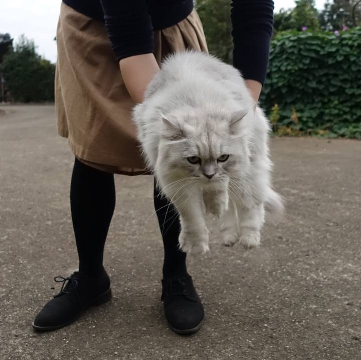 148ee5f4 3dd4 4f57 a7a6 a2848a3a462c