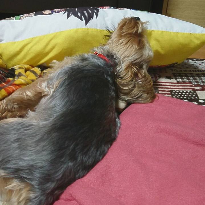 14906d96 ea06 450f b487 c4cfd173d8c4