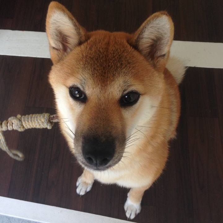 14909b7a 9905 41ce a51b da7e61a787bd