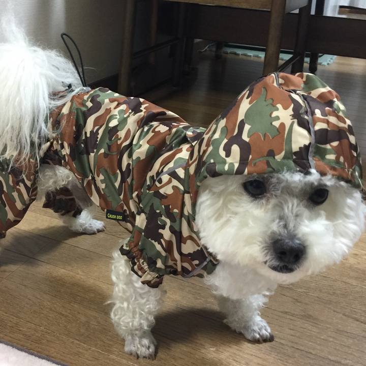 14918a2f f233 45c4 b101 245edb8fea4a