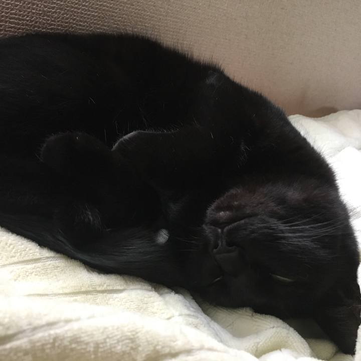 1491990b 546c 4354 a622 74fd556ebc56