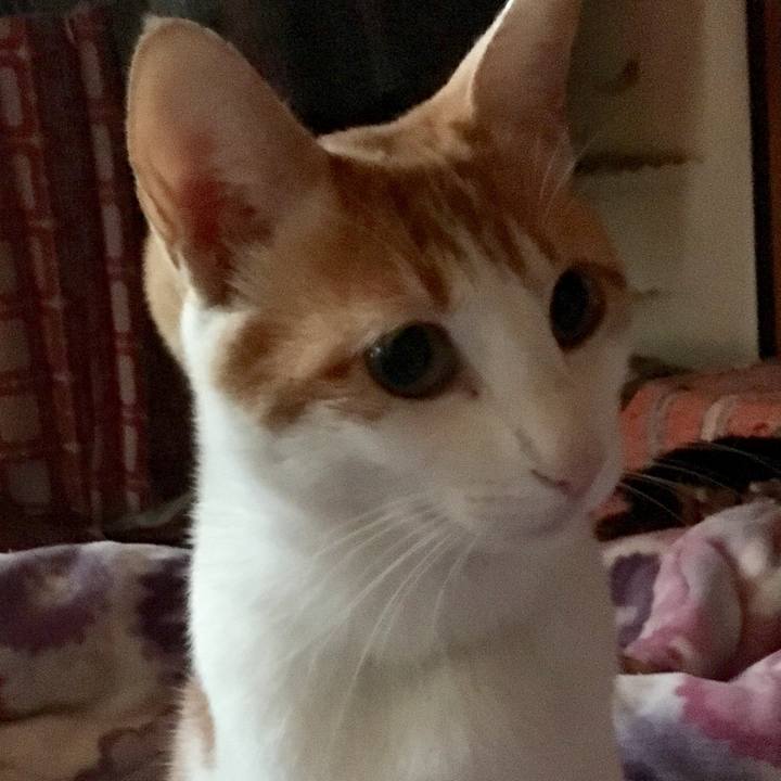 1491a924 095b 48af 9bed 932d53a5225c