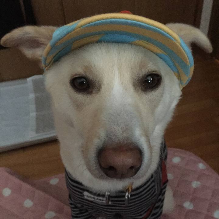 1491c167 f5ae 4ed9 9864 bc5d15545a0c