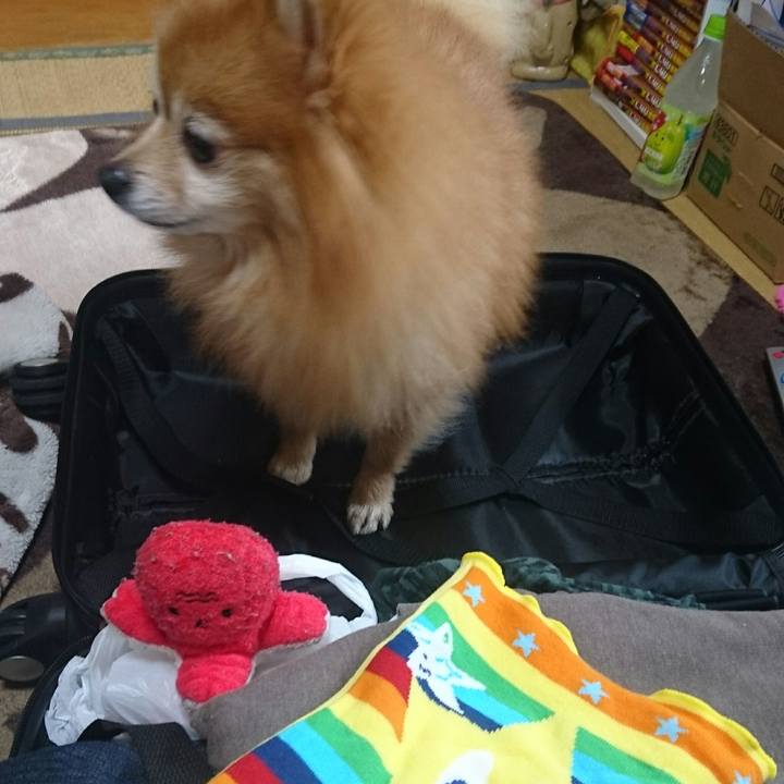 1491e507 4b86 4481 b8e6 8de59621d0e4