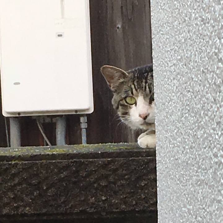 14928f41 55c2 4361 9090 32103d322bfb