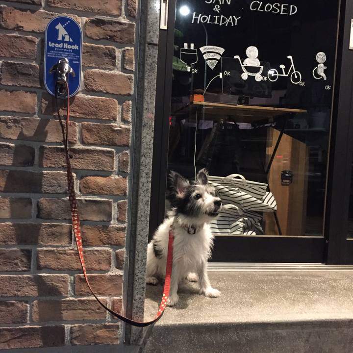 14934e3c c708 47e0 851c 2096873b28d7