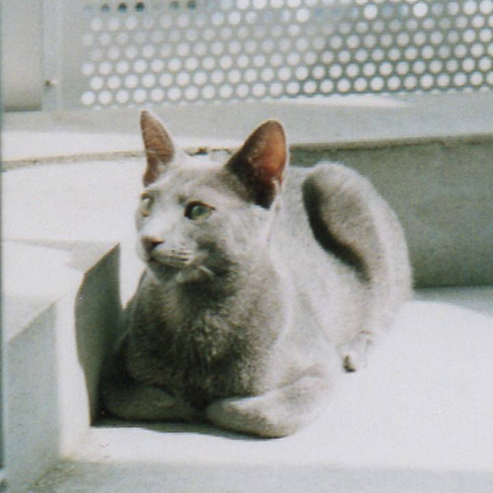 14941de0 80dc 4ae9 94ef 042b4c8ddd6c