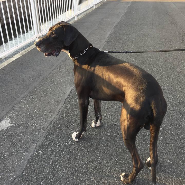 14946a18 2b4a 4d46 91b6 ea87d64d2319