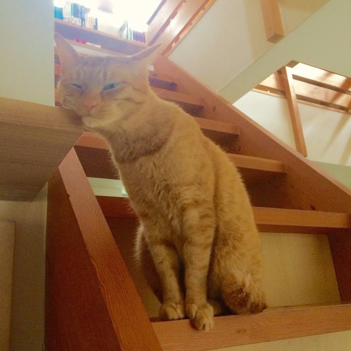 14947ef0 972c 477f 8f02 3ac67aca7788