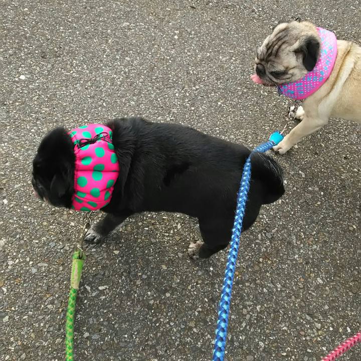 1494abaa 18c9 4654 af4b 3ca349f3a623