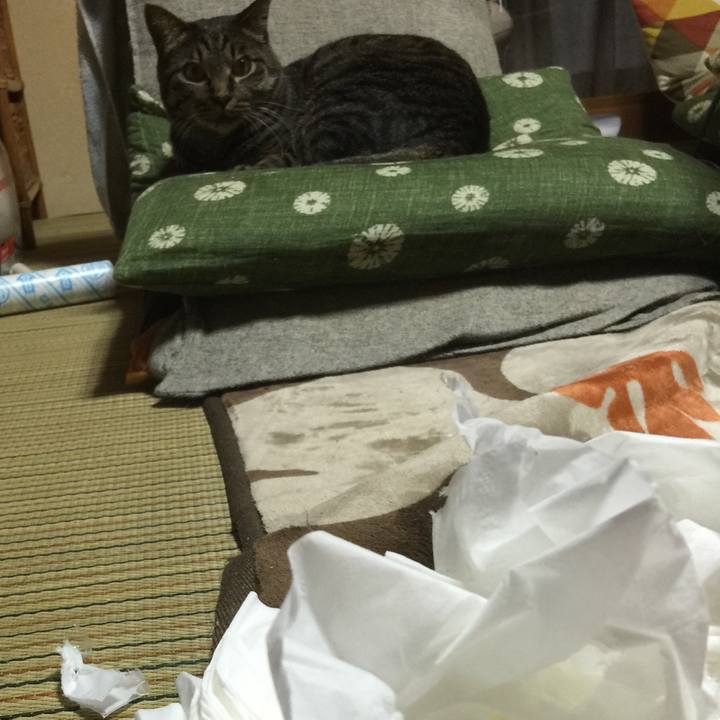 1494e376 8406 4fc4 a612 d68958657d2b