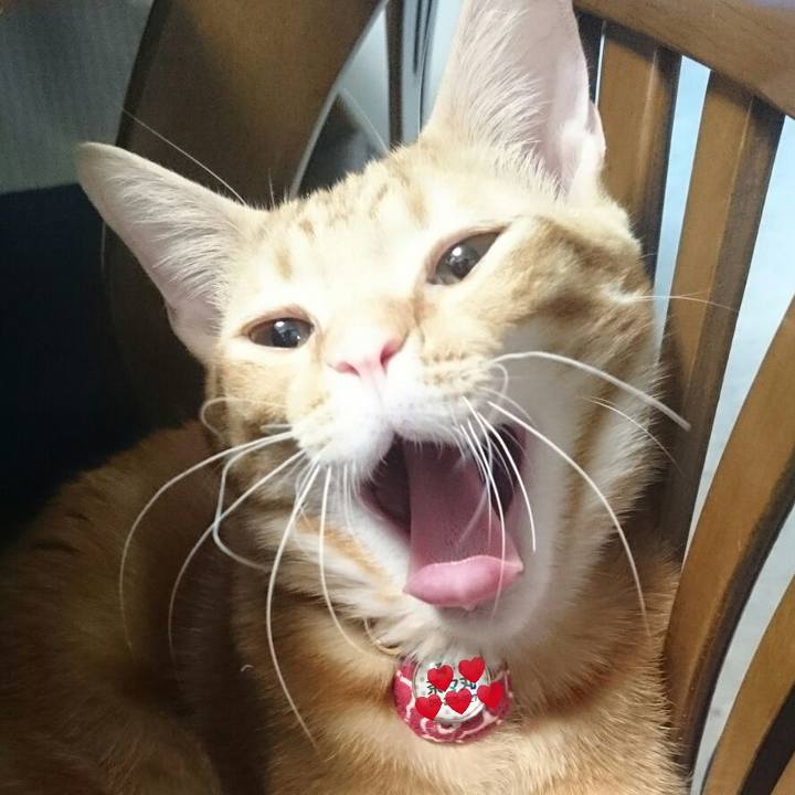 1495a623 205f 418f b11d ce22c258b078