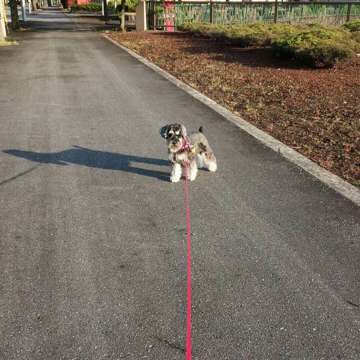 1496066f c374 461c 9a15 f01ced2747c2