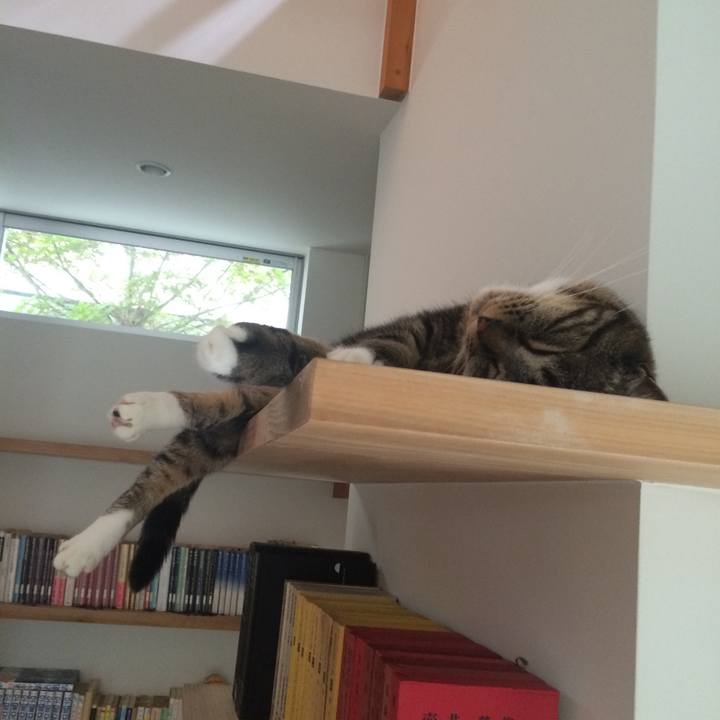 14960bea 340d 450b 9aac 2eca7ff7aea1