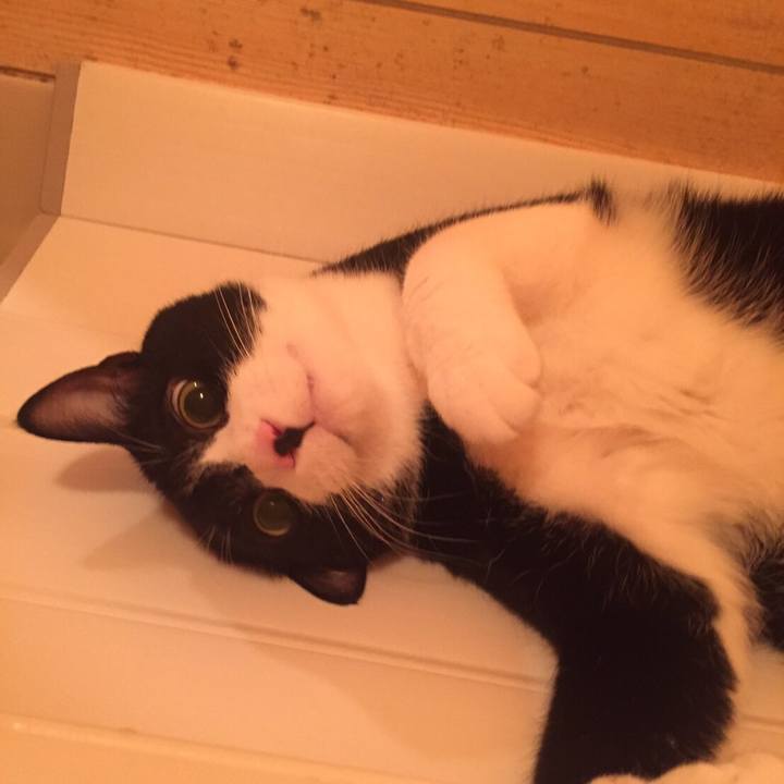 1496cb60 d594 4adb bf8c 979e83cf7660