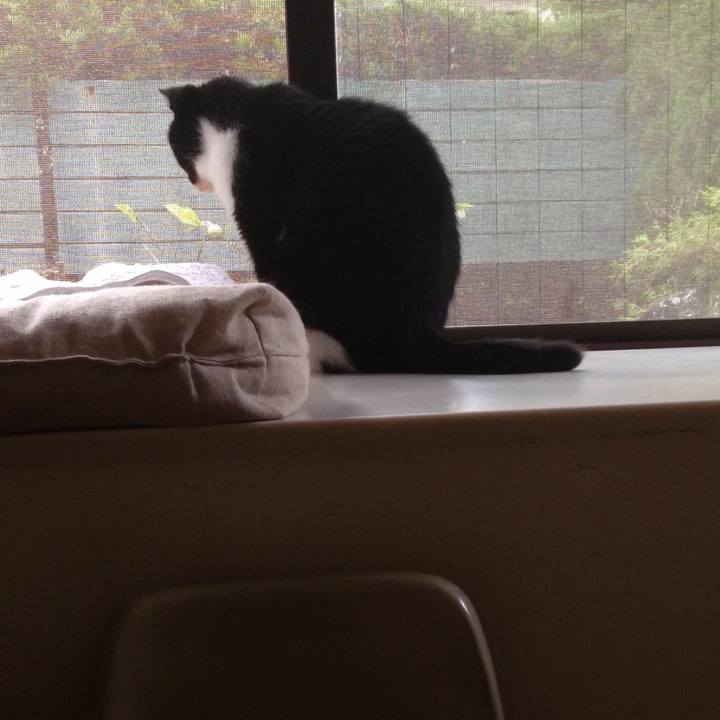 14971f86 83ee 4b7f b7d1 aae000724898