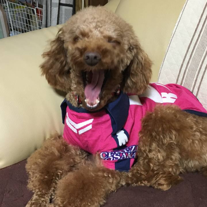 14974d8f c45b 42b5 a5fd 4bdbab9eeb36