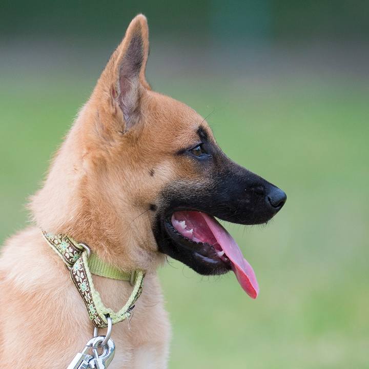 1497c04b 947d 4f22 a897 1f4f74ad0cf5