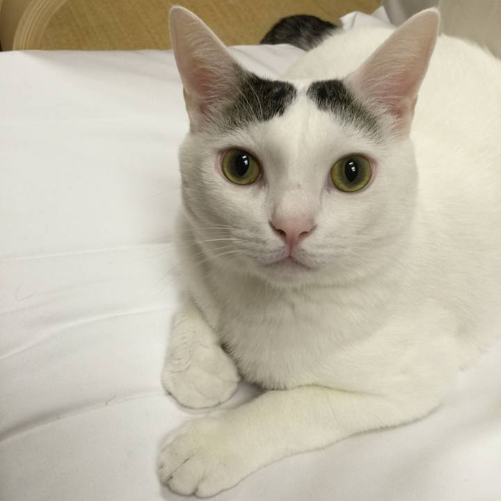 1497d6ff c782 45a3 92d7 15e31c26c8e3