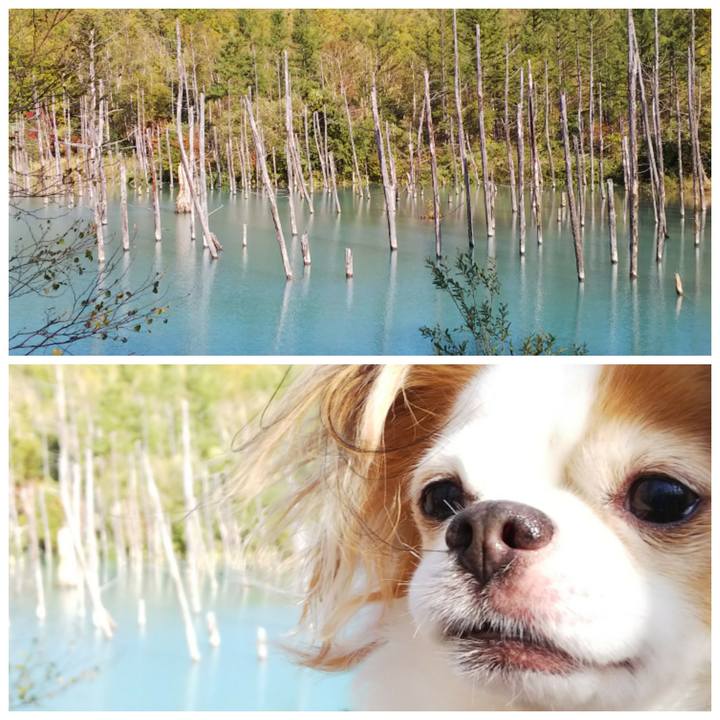 14985087 39e1 4268 9809 9413dbc52f43