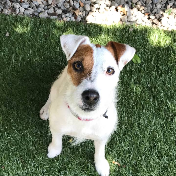 1498af56 3367 4844 8197 e19358b22d73