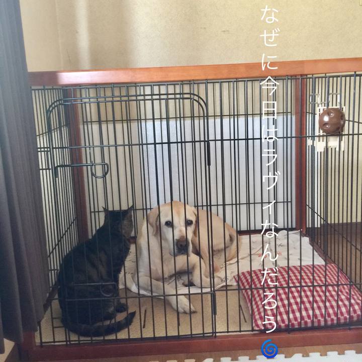 1498b301 2a3f 4e26 acf5 b1e113986aea