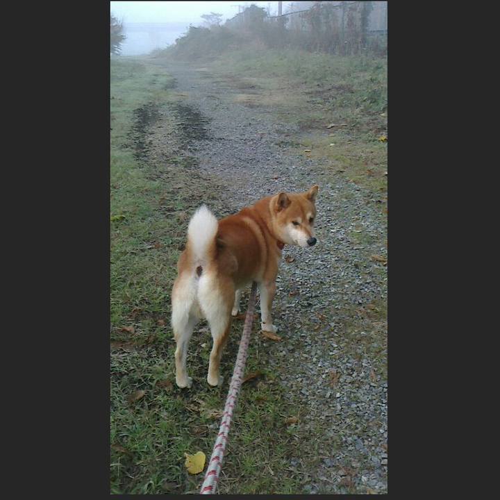 1498dbd9 b38a 4f1f b917 bac927daa188