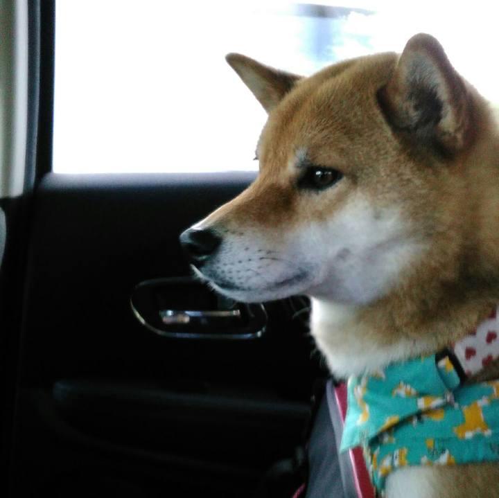 1498ff93 0165 4e65 b22e 7872fb8b9d8a