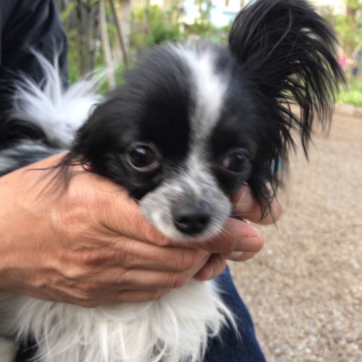 14998782 9cd4 43aa 9f32 c3259265c561