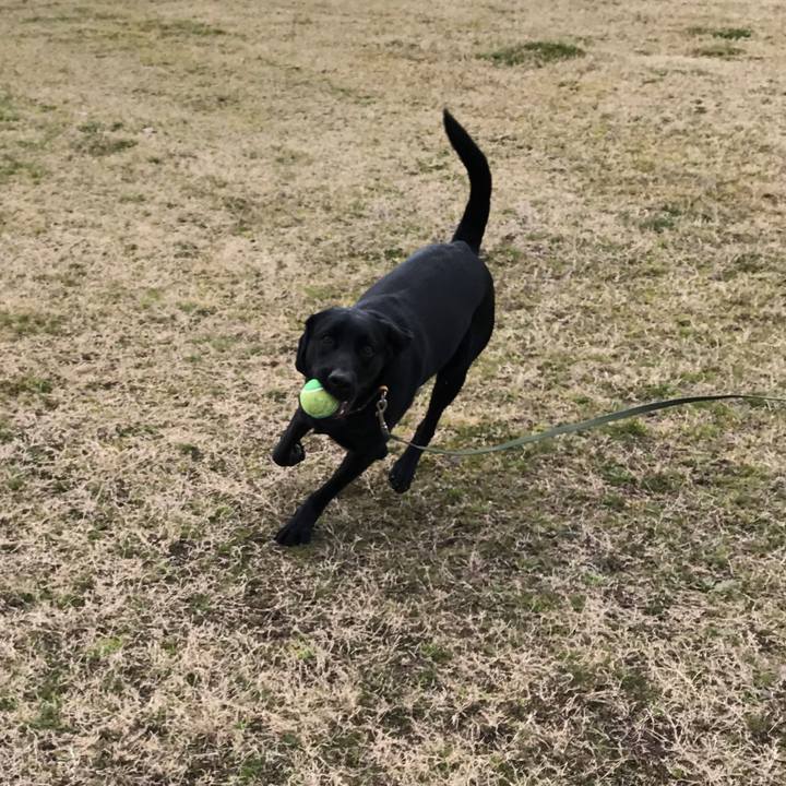 149a04e9 a41c 490b 8286 3c55a24e8d1e