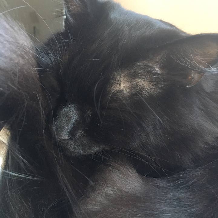 149a068a 54cf 4971 ad53 c93565116c11