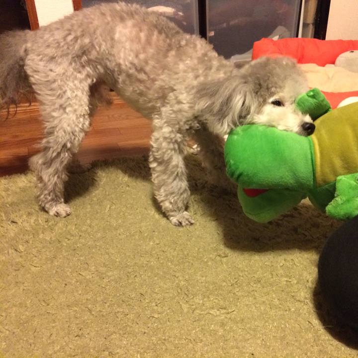 149ab1d6 5136 4511 a3e1 ffc36fd1198b