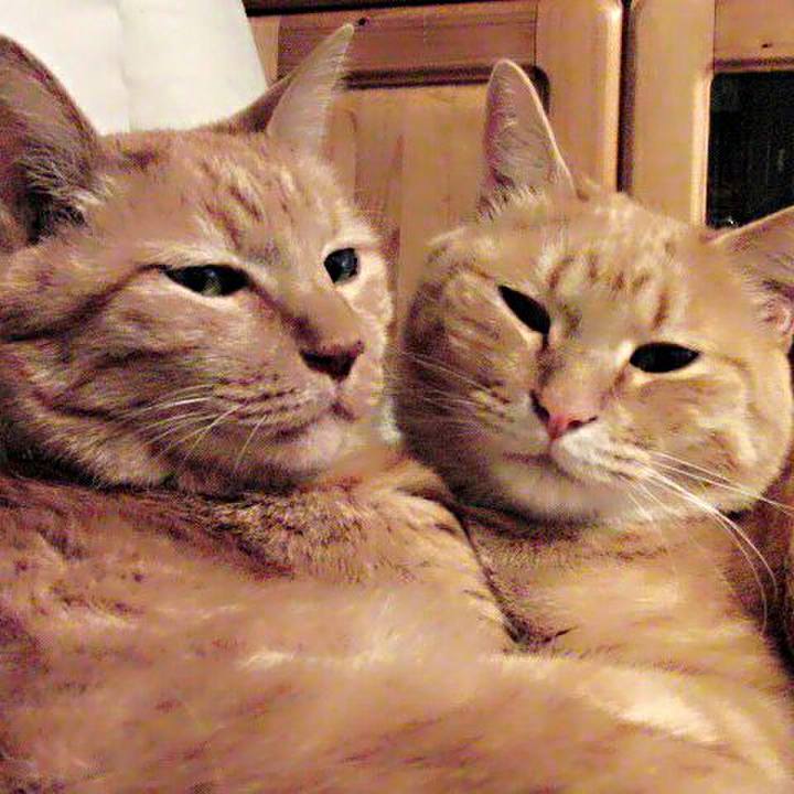 149b9c97 3f37 4f74 81b7 8fac877fd6ea