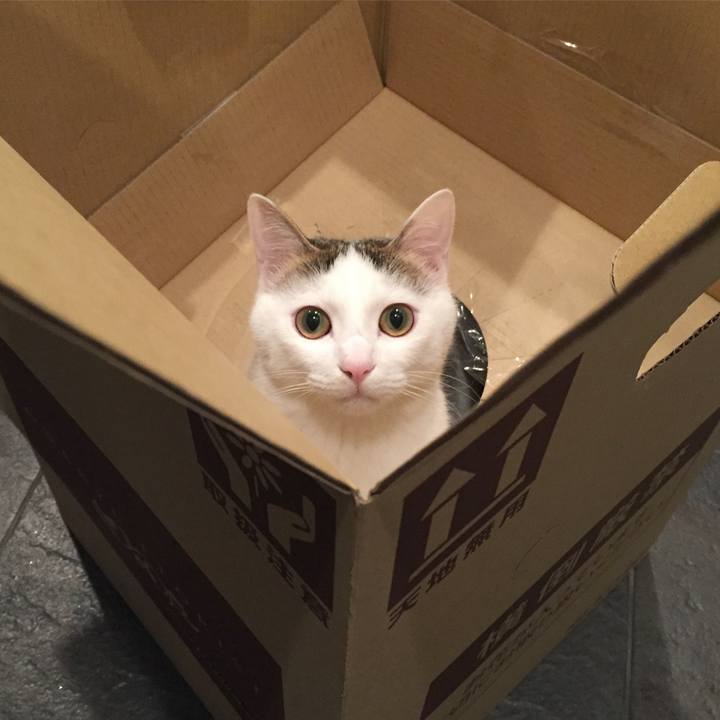 149ba521 5ce2 494d 97ec fe9a706e971c