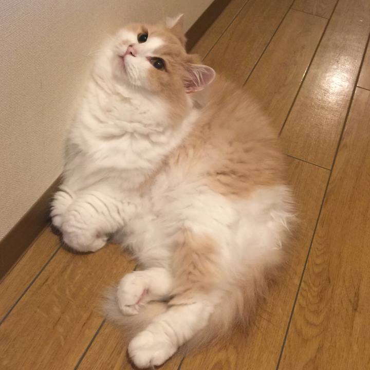 149bd971 0aea 4d5a 96ee 69fb5f13fbfc