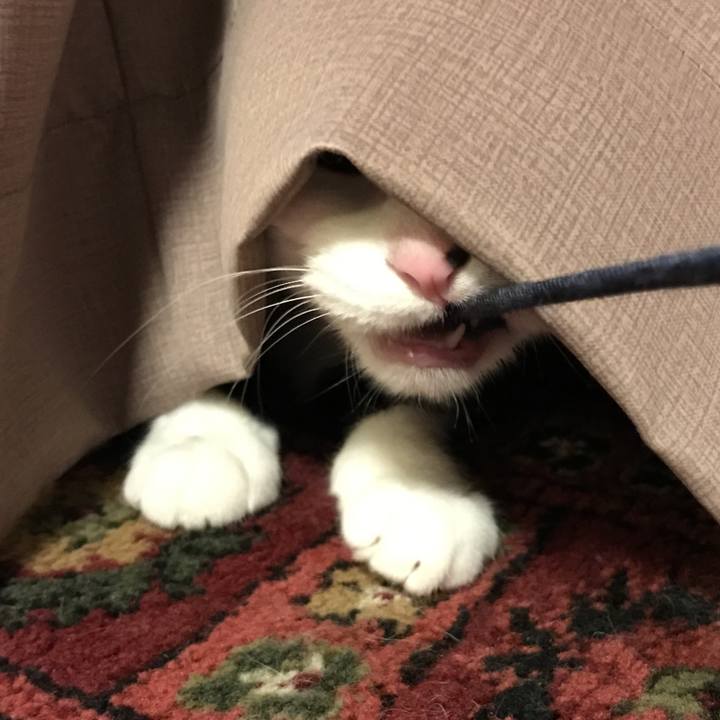 149c2137 947b 4922 9dab 2068832b5c78