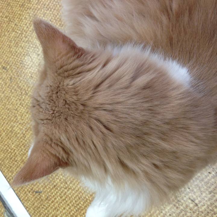 149c22bc dec2 48e8 8dfa 0d25d1bfaaf6