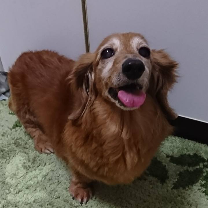 149c74e0 59c2 4f9d bc22 358758eb8d18