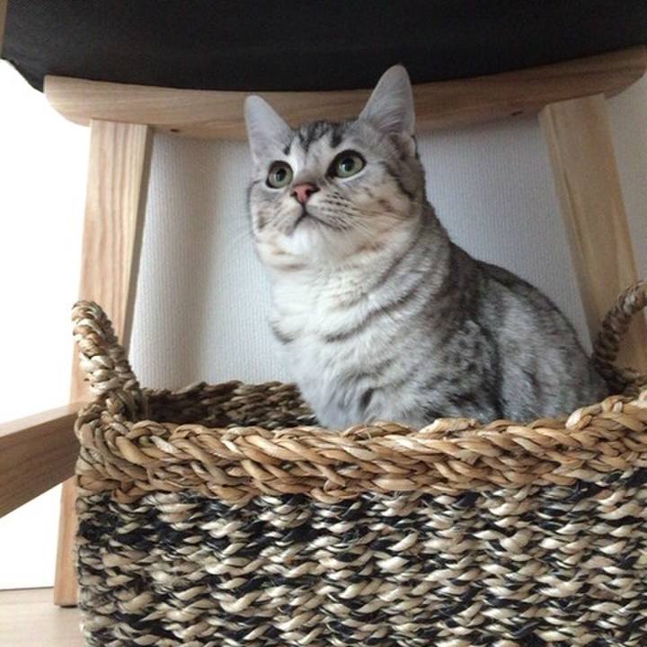 149cddc8 a859 40f8 8b1d b60bfe8b9443