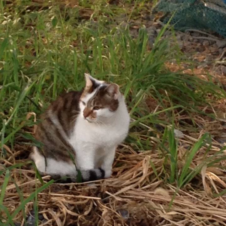 149cedd5 a029 489e 89b7 e20397441e77