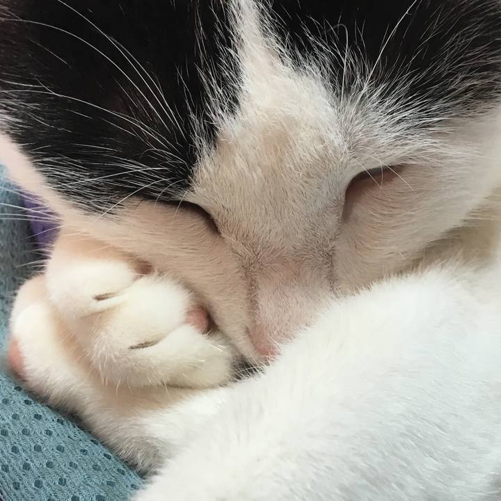 149cf665 6303 42ec a090 51dfaafa5fd7