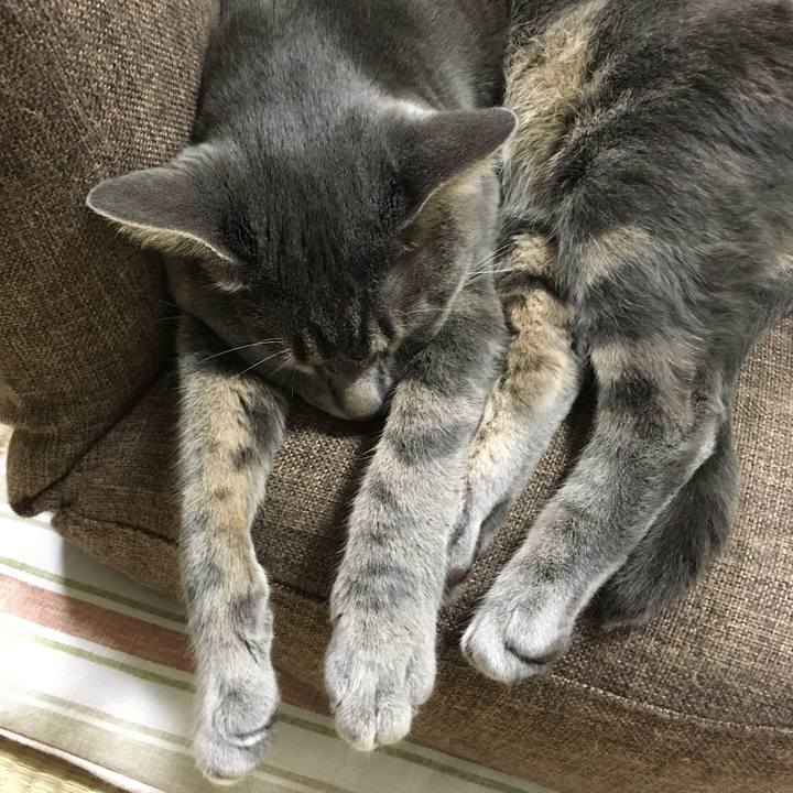 149d6c6d b188 469c 8717 415f6bcf54fc