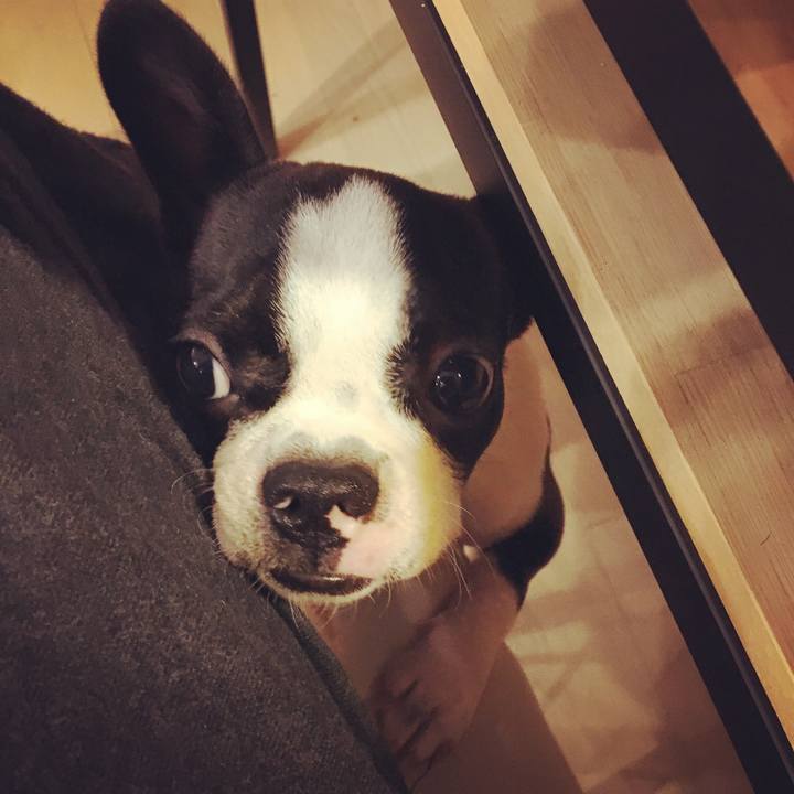 149d9d34 ec55 470f b55a 4c3048c6f12c